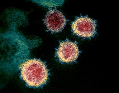 Estudio revela nuevos objetivos para vacunas y tratamientos del coronavirus