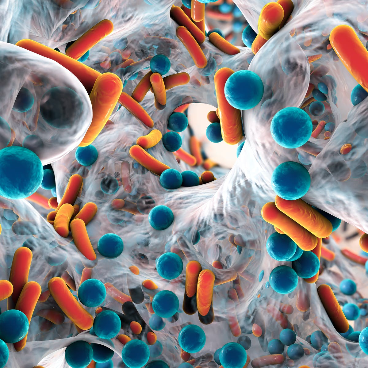 Cerca de 10 millones de personas podrían morir cada año por bacterias resistentes a los antibióticos dice OMS